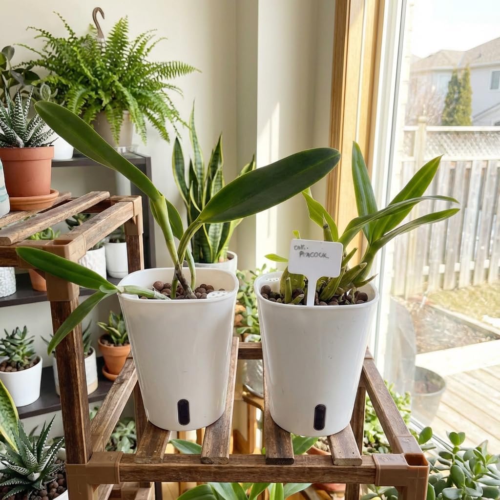 8 Pack 4 inch self Watering pots for Indoor Plants, Small Self Watering Planters with Visual Water Level Window,self Watering Plant pots for Aloe,Herbs,African Violets