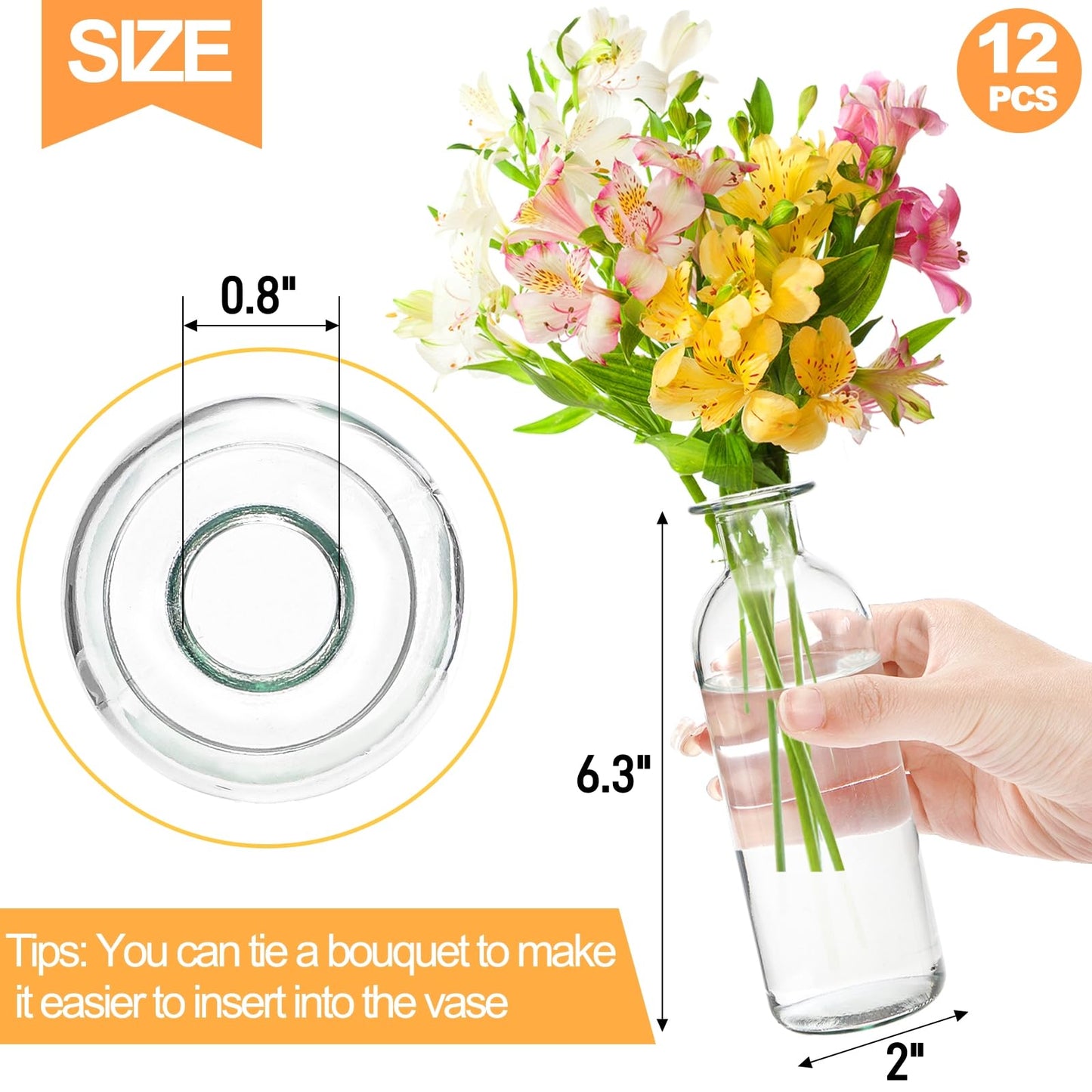 Peohud Set of 12 Glass Bud Vases, Clear Small Flower Vases, Decorative Glass Bottles Floral Vases for Home Decor, Wedding Reception, Centerpieces, Party