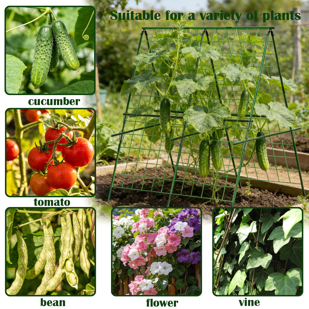 Cucumber Trellis, 120 * 120cm A-Frame Sturdy Metal Garden Trellis for Climbing Vegetables Tomato Bean Pea Rose Vine Plants, Weatherproof Plant Support for Outdoor Raised Bed Patio