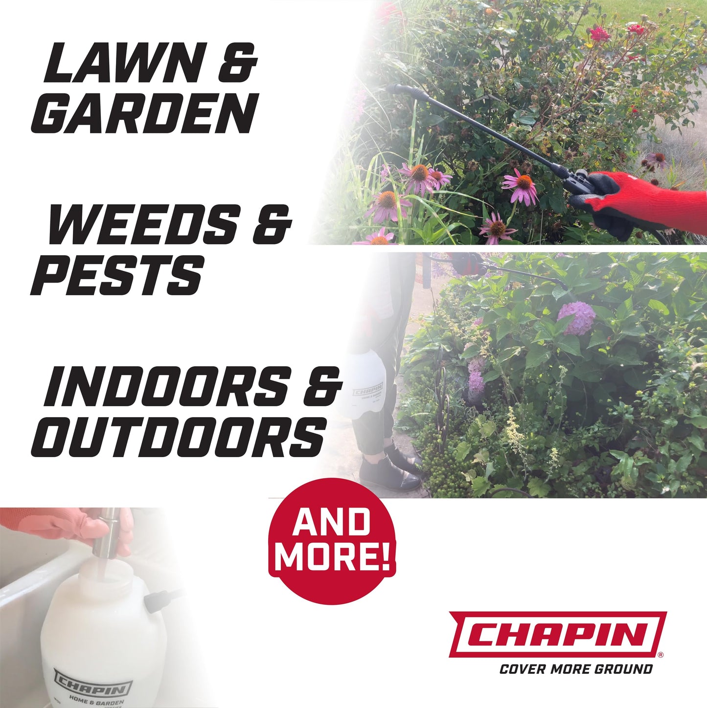 Chapin 16200 Home and Garden Poly Sprayer, 2-Gallon