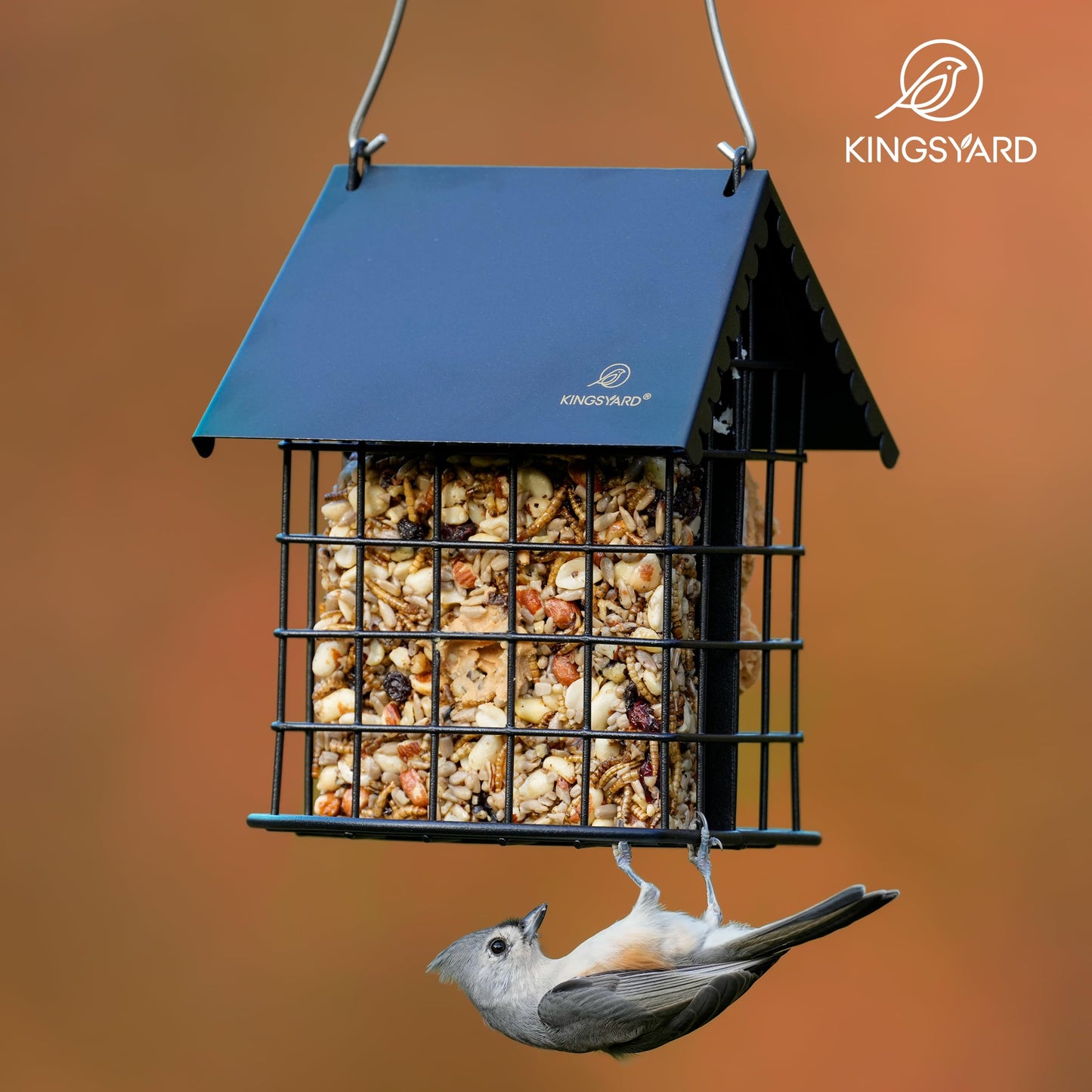 Kingsyard Cute Suet Feeder with Weatherproof Roof, All Metal, Two Suet Capacity, Outdoor Cage Bird Feeder for Wild Bird, w/Hanger, Black