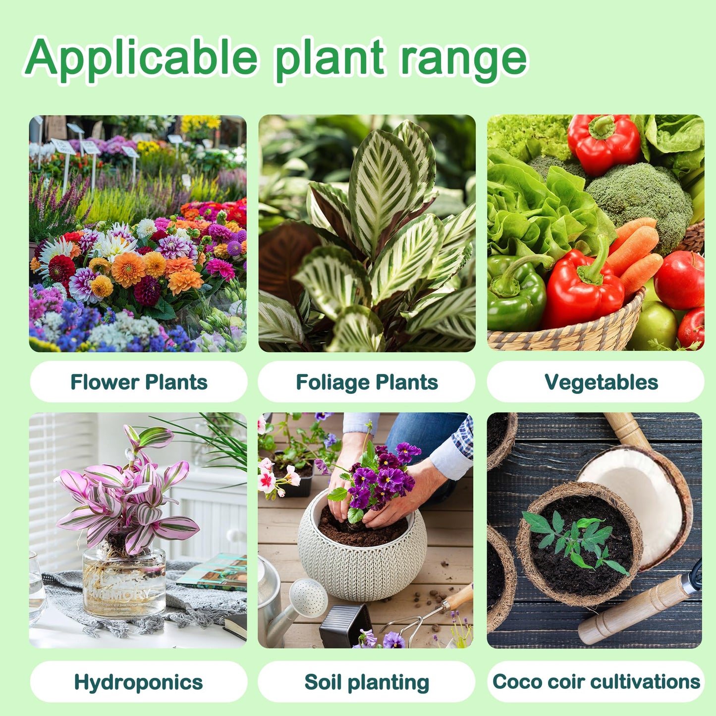 ALIINKD Hydroponics Nutrients (1000ml in Total), A&B Plant Food for Hydroponics Growing System and Potted Houseplants, Plant Fertilizer Supplies