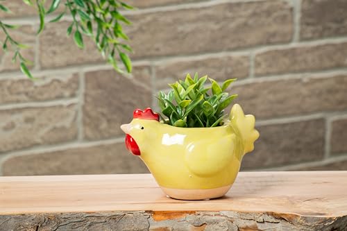 Abbott Collection Ceramic Chicken Planter - Small (5" L)