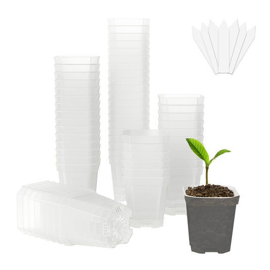 Foxany 3" Clear Nursery Pot, 60 Pcs Thick Plastic Square Flower Planting Pots with 100Pcs Plant Lables, Plant Seedling Pots, Seed Starting Pots
