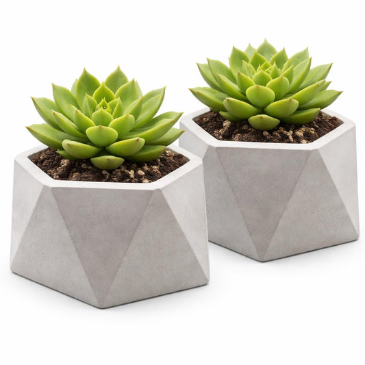 UpBiggin Concrete Plant Pots – Set of 2, 3 Inch Hexagonal Succulent Planters with Drainage – Small Flower Pots for Indoor Plants, Cactus & Herbs – Modern Home Décor, Pot Plante Intérieu