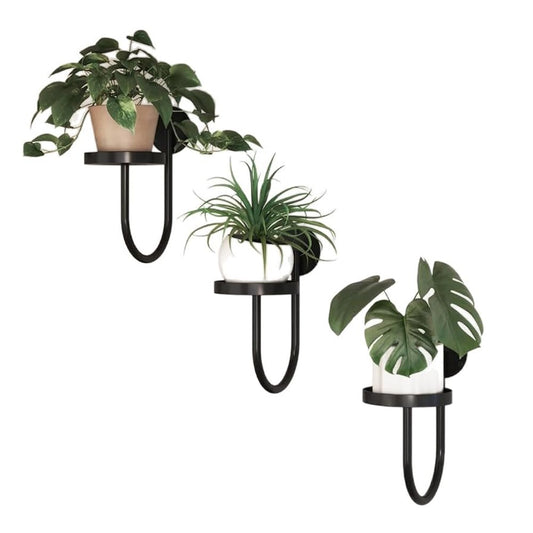 3 Pack Wall Plant Holder Wall Planters Black Metal Plant Wall Shelf Indoor Plants Hanger Modern Wall-Mounted Hanging Planter for Outdoor Livingroom Window Bedroom Balcony Patio Flower Pot Decor
