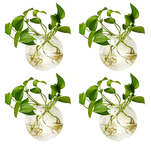 NUPTIO Wall Hanging Planters Terrarium: 4Pcs Clear Glass Wall-Mounted Vases for Indoor Office Garden Living Room - Oblate Plant Pots Hydroponic Containers Propagation Stations for Flowers