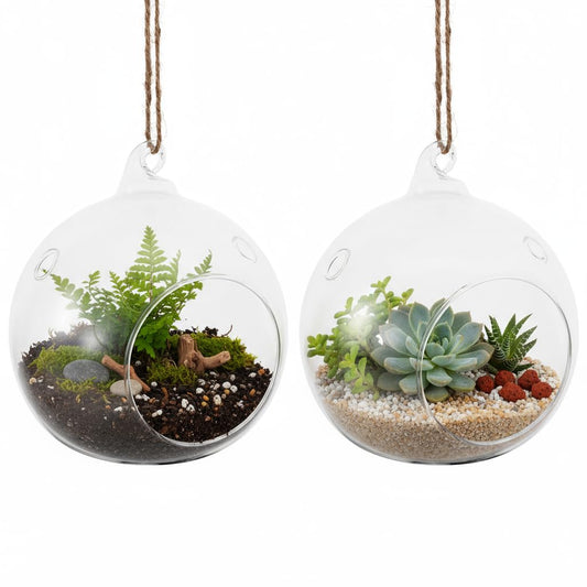 SUPVOX 2-Pack Glass Hanging Vase Terrarium 4.72 Inch Transparent Globe for Indoor Air Plants Home Garden Balcony Decorative Plant Containers