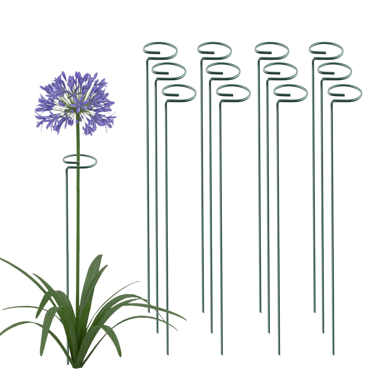 Thealyn 36 Inch 12 Packs Plant Support Stakes,Garden Single stemmed Plant Support Hoops, Plant Prop, for Flowers,Orchid, Tomatoes Peony Lily Rose