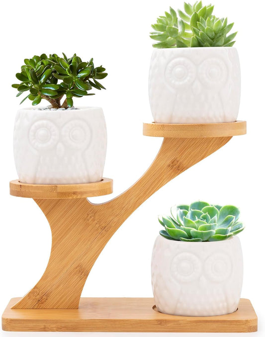 Owl Ceramic Succulent Pots 3PCS with Bamboo Stand, White Modern Decorative Flower Planter with Bamboo Saucers Drainage, Home Office Desk Garden Mini Cactus Plant Pot Indoor Decoration