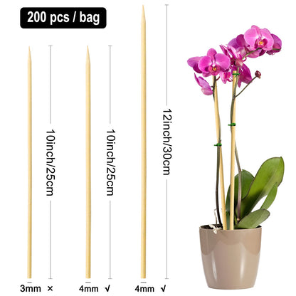 BLUE TOP Natural Bamboo Skewers 12inch Φ=4mm Pack 200;Bamboo Sticks for Grilling, BBQ, Kabob,; Candy Sticks for Fruits, Candies, Chocolate Fountain, Appetizer, Plant Sticks for flower tomato growth