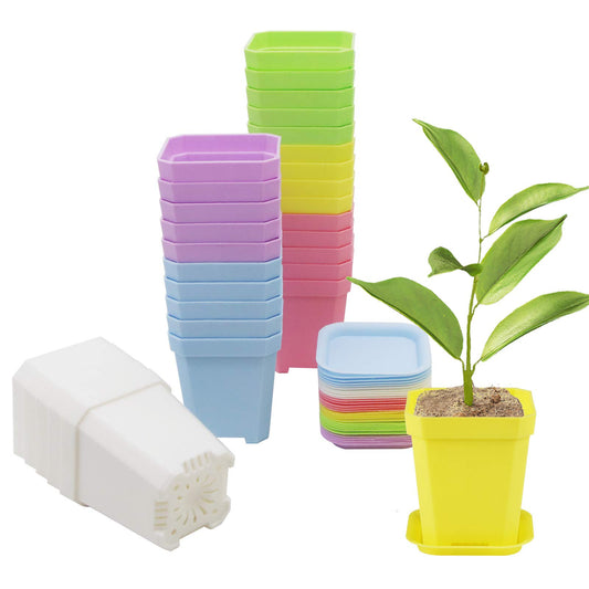 Foxany 30 Pcs 3" Plants Nursery Pot, Thick Plastic Square Colorful Flower Planting Pots, Plant Seedling Pots, Seed Starting Pots with Saucers - Multi Color