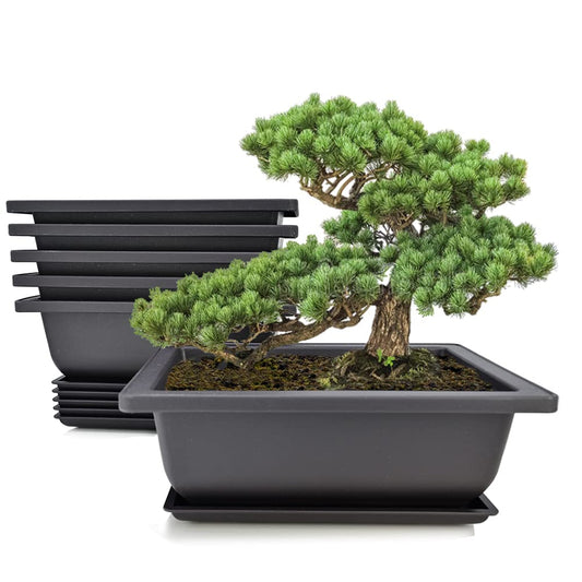 MUZHI 6PCS/Pack Retro Style Basin Plastic Flower Pot with Tray, Flower Bonsai Tree Plant Pots with Saucer for Succulent Arrangement (Rect Large 8.9"x6.6"x3.3")