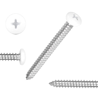 White Head 100 PCS #8x2 Stainless Steel Phillips Pan Head Wood Screws,White Coated Screws Covers Head Wood Screws,Stainless Steel 18-8 A2(304) Screw,Home Screw Kit by QISHENG