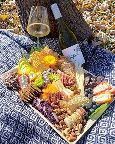 Dtocs Disposable Charcuterie Boards 14x10 Inch (10 Pcs) | Microwavable Disposable Serving Platters, Cheese Board, Party Trays, Serving Boards | Palm Leaf Trays for Catering, Grazing Table Supplies