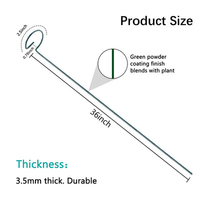Thealyn 36 Inch 12 Packs Plant Support Stakes,Garden Single stemmed Plant Support Hoops, Plant Prop, for Flowers,Orchid, Tomatoes Peony Lily Rose