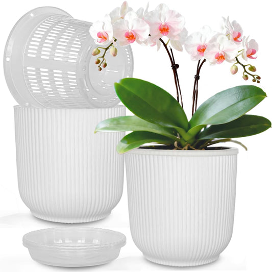 MUZHI 2 Pack Double Layer Orchid Planter Pot 5.4", Clear Slotted Orchid Basket with Drain Tray , Decorative Breathable Plastic Orchid Pot for Indoor Outdoor Phalaenopsis Growing Container White