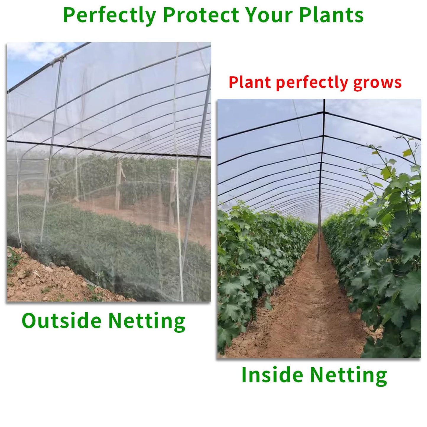 Garden Insect Netting, Fine Mesh Garden Mosquito Bug Net for Vegetables, Flowers, Fruits, Plants (10 x 50FT)