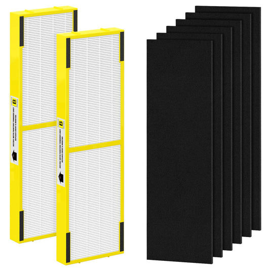 SAKEGDY FLT4825 HEPA Filter B Compatible with Air Purifier models AC4825 AC4300 AC4800 AC4900 AC4850, 2 True HEPA Filters + 6 Activated Carbon Pre-filters