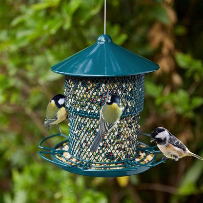 Metal Bird Feeder for Outside, Window Bird Feeder Eco-Friendly and Anti-Rust Wild Bird Feeders, Outdoor Birdfeeders for Wild Birds, Finch, Cardinal and Bluebird