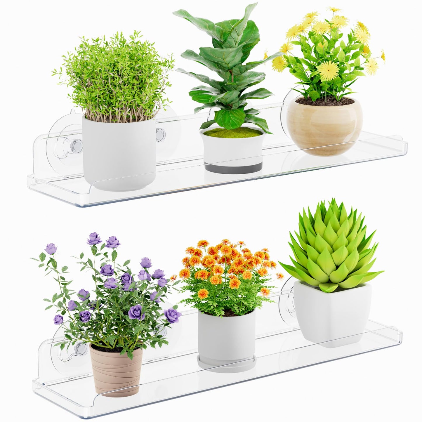 Lifewit Window Plant Floating Shelves 15 x 4 inch, 2 Pack Acrylic Suction Cup Shelf, Window Sill Extender for Indoor Succulent Plants, Micro Greens, Seed Starter Pots, Herb Planters