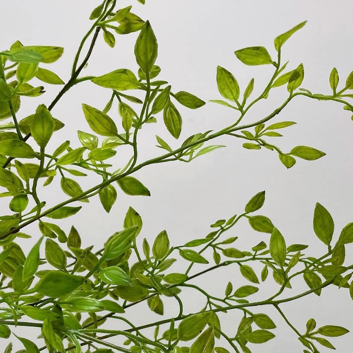 Avoik Artificial Plants 3PCS Faux Greenery Stems, 43.3 Inch Tall Spring Leaves Branches Artificial Ficus Twig Green Faux Plastic Plant Stems for Vase Outdoor Indoor Summer Garden Home Decor
