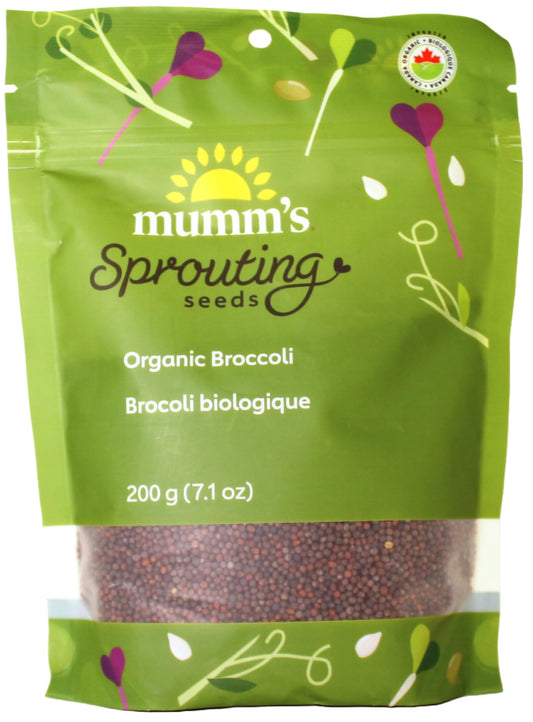 Organic Broccoli (Brocoli) Sprouting Seeds, Mumm's, Large Size - 200 Grams, Non-GMO - High Germination Rate - Resealable Bag