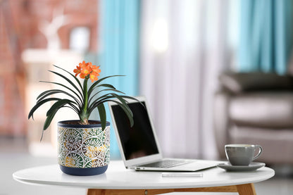 3 Piece Ceramic Plant pots Indoor Flower Pots Set with Drainage Holes, 5.7/4.7/3.5/inch,Nursery Planting Pot for Indoor Plants, Succulents,Snake Plant, African Violet, and Cactus (Blue)