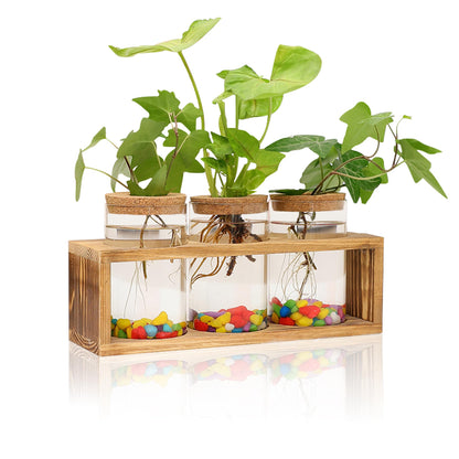 Clear Plant Propagation Station with Retro Wooden Stand, Glass Plant Terrarium Decor with 3 Vase, Desktop Plant Stand for Hydroponic Home Office Garden Decor, Plant Lover Gifts (3 Vase)