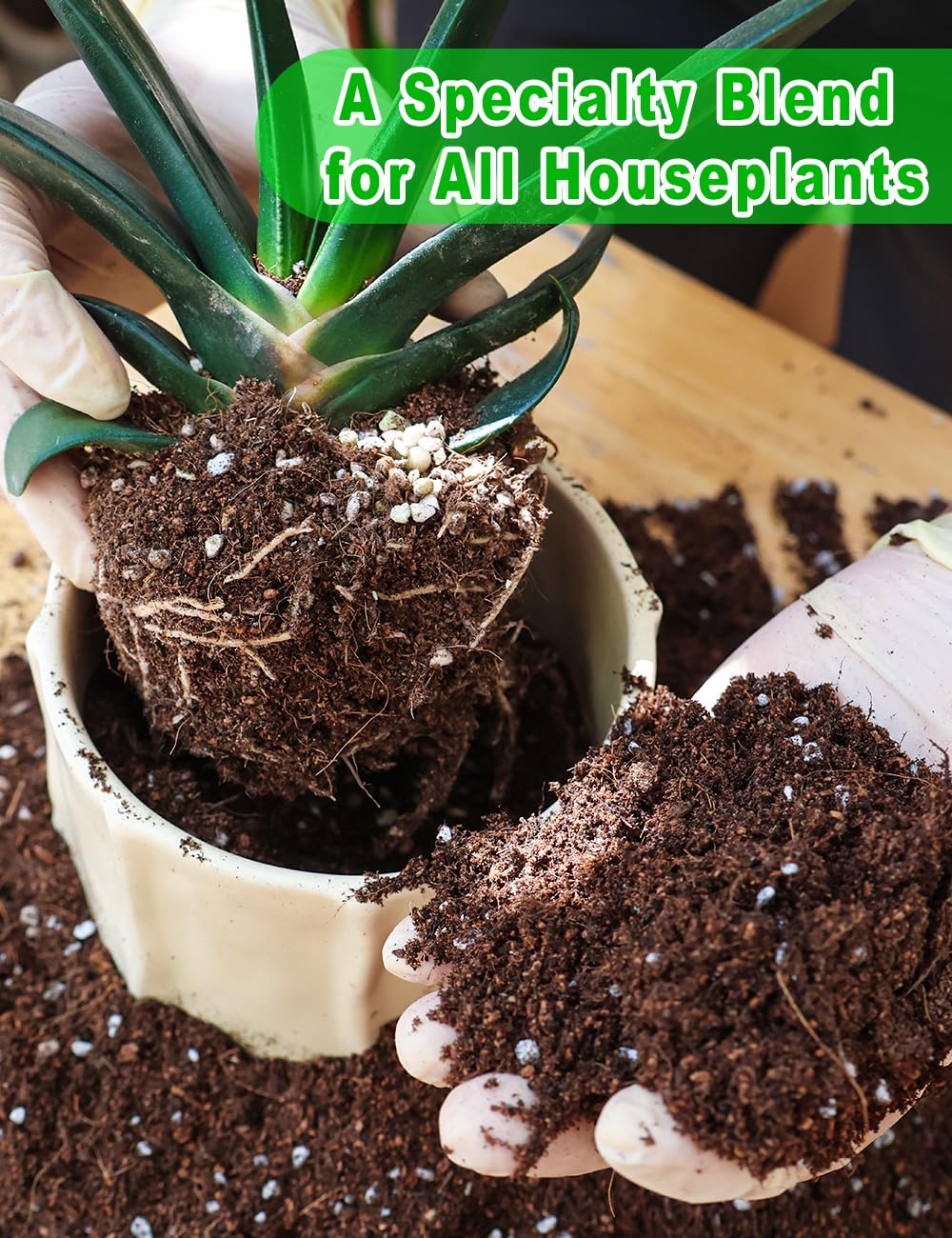 TOYPOPOR Potting Soil for All Indoor Houseplants, (3qt) Contains Perlite, Peat Moss, Coco Coir and Rice Charcoal, Well Draining Potting Mix Light, Aerated Texture for Healthy Plant Roots, Fast Growth