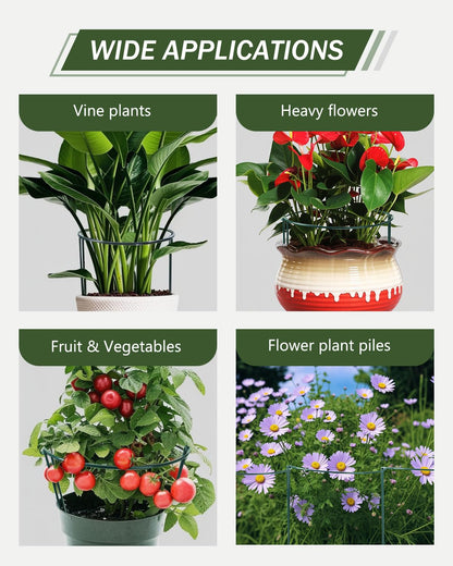 10 PCs of Garden Plant Support Stakes, SproutMaven 10" Wide x 16" High Half Round Metal Garden Border Support, Plant Support Ring Cage for Outdoor Indoor Plants