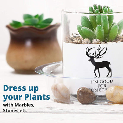 24 Pack Plant Saucer, Clear Plastic Plant Pot Saucer, Made of Thicker, Stronger Plastic, with Unique Design, Durable Flower Plant Tray for Indoor and Outdoor Plants(4 Size, 6/8/10/12 Inch)