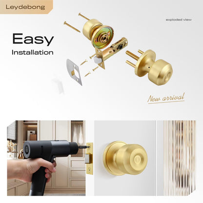 Leydebong 1 Pack Classic Gold Passage Door Knob Closet Door Knob, Satin Brass Door Knob for Interior/Hallway/Closet Doors, Interior Door Knobs