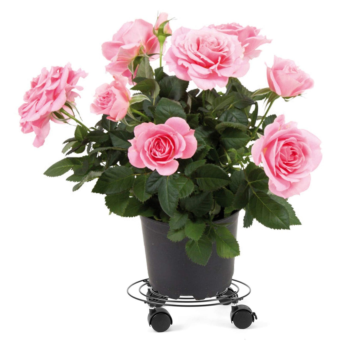 ZOENHOU 3 Pack Plant Caddy with Wheels, 11.8 Inch Round Metal Rolling Plant Stand Indoor Outdoor, Heavy Duty Potted Plant Dolly with Lockable Casters, Black