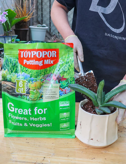 TOYPOPOR Potting Soil for All Indoor Houseplants, (3qt) Contains Perlite, Peat Moss, Coco Coir and Rice Charcoal, Well Draining Potting Mix Light, Aerated Texture for Healthy Plant Roots, Fast Growth