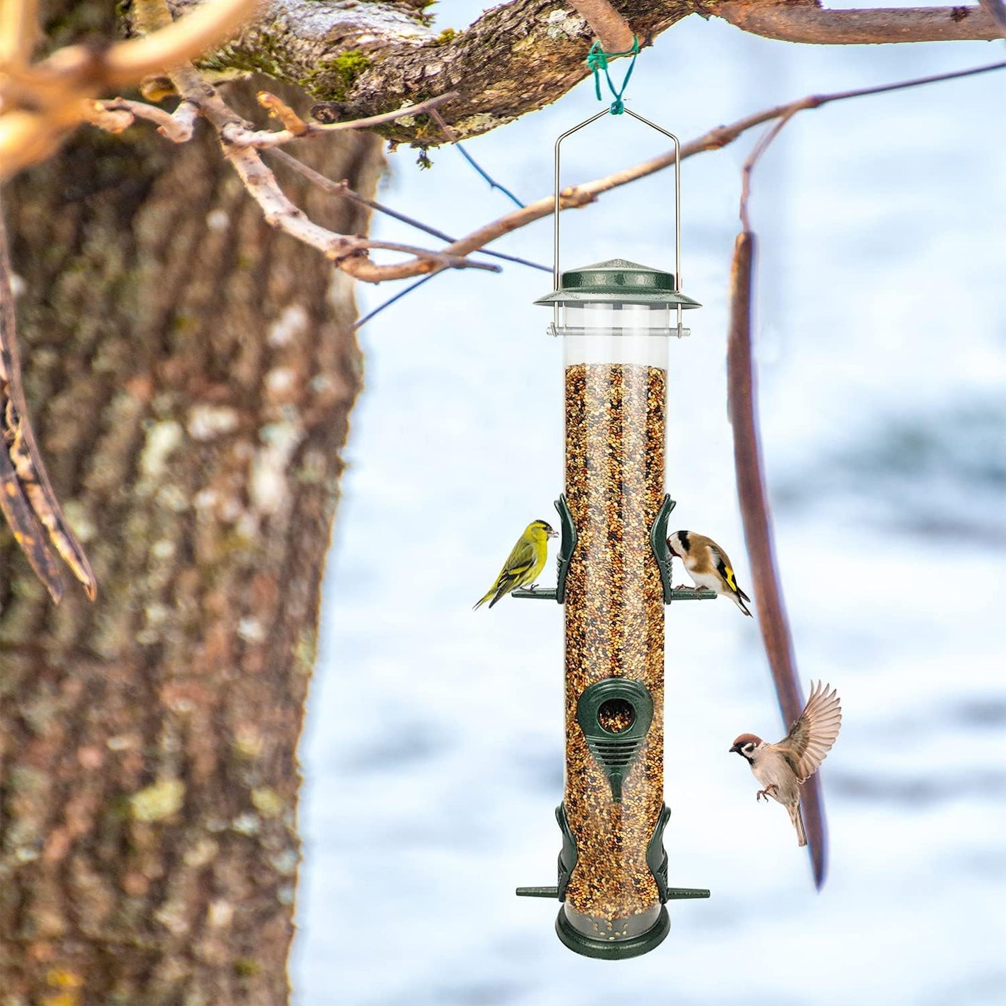 MIXXIDEA Metal Wild Bird Feeder Squirrel Proof Bird Feeders for Outside Hanging 6 Port Tube Bird Feeder Transparent Finch Feeder with Steel Hanger (2 PK, Green)