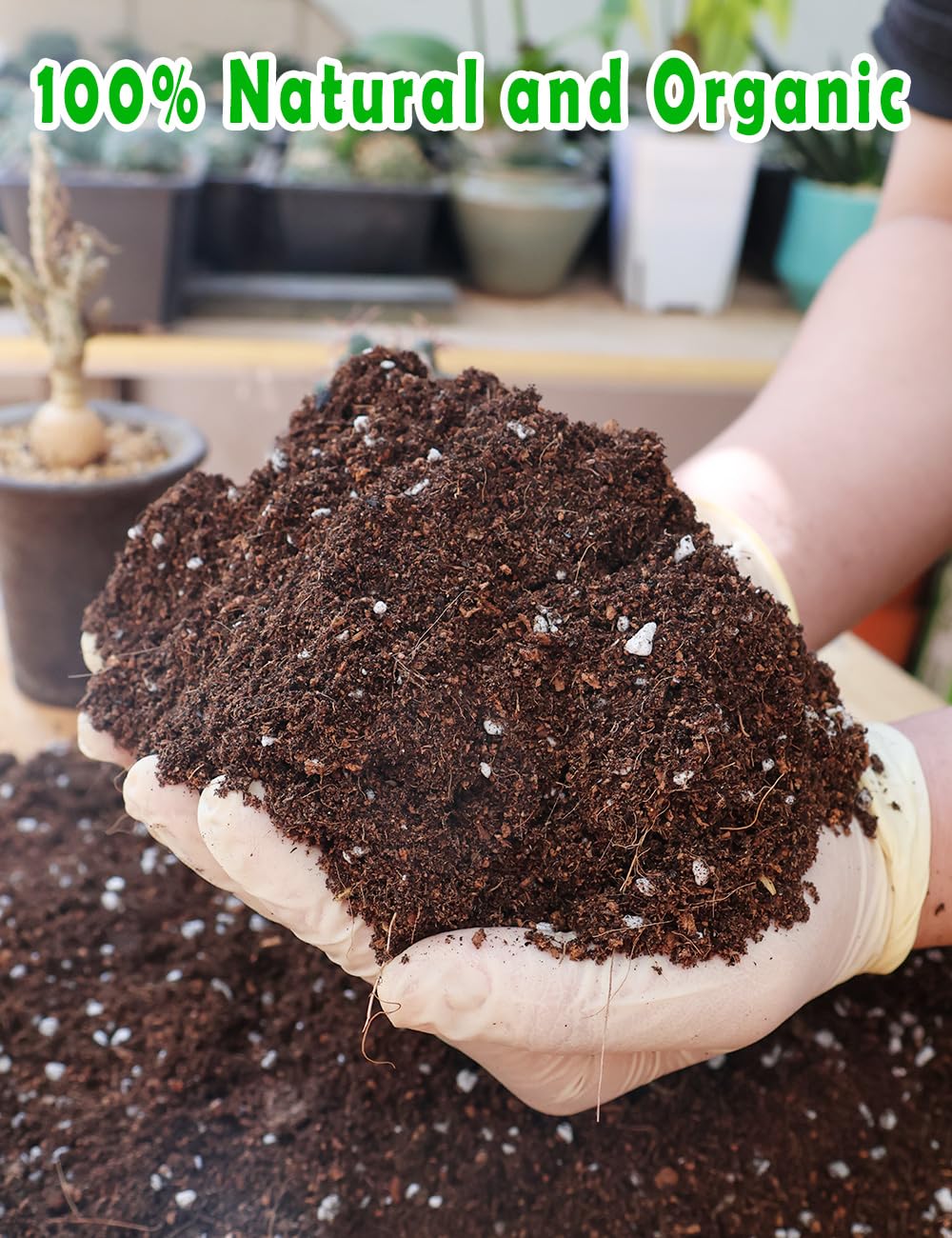 TOYPOPOR Potting Soil for All Indoor Houseplants, (3qt) Contains Perlite, Peat Moss, Coco Coir and Rice Charcoal, Well Draining Potting Mix Light, Aerated Texture for Healthy Plant Roots, Fast Growth