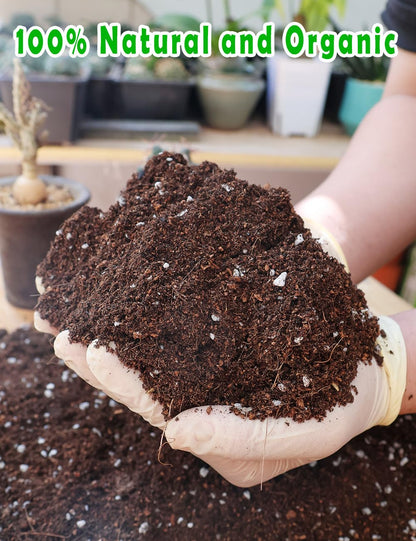 TOYPOPOR Potting Soil for All Indoor Houseplants, (3qt) Contains Perlite, Peat Moss, Coco Coir and Rice Charcoal, Well Draining Potting Mix Light, Aerated Texture for Healthy Plant Roots, Fast Growth