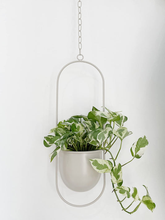 RISEON Boho Beige Metal Plant Hanger,Metal Wall and Ceiling Hanging Planter, Modern Planter, Mid Century Flower Pot Plant Holder, Minimalist Planter for Indoor Outdoor Home Decor