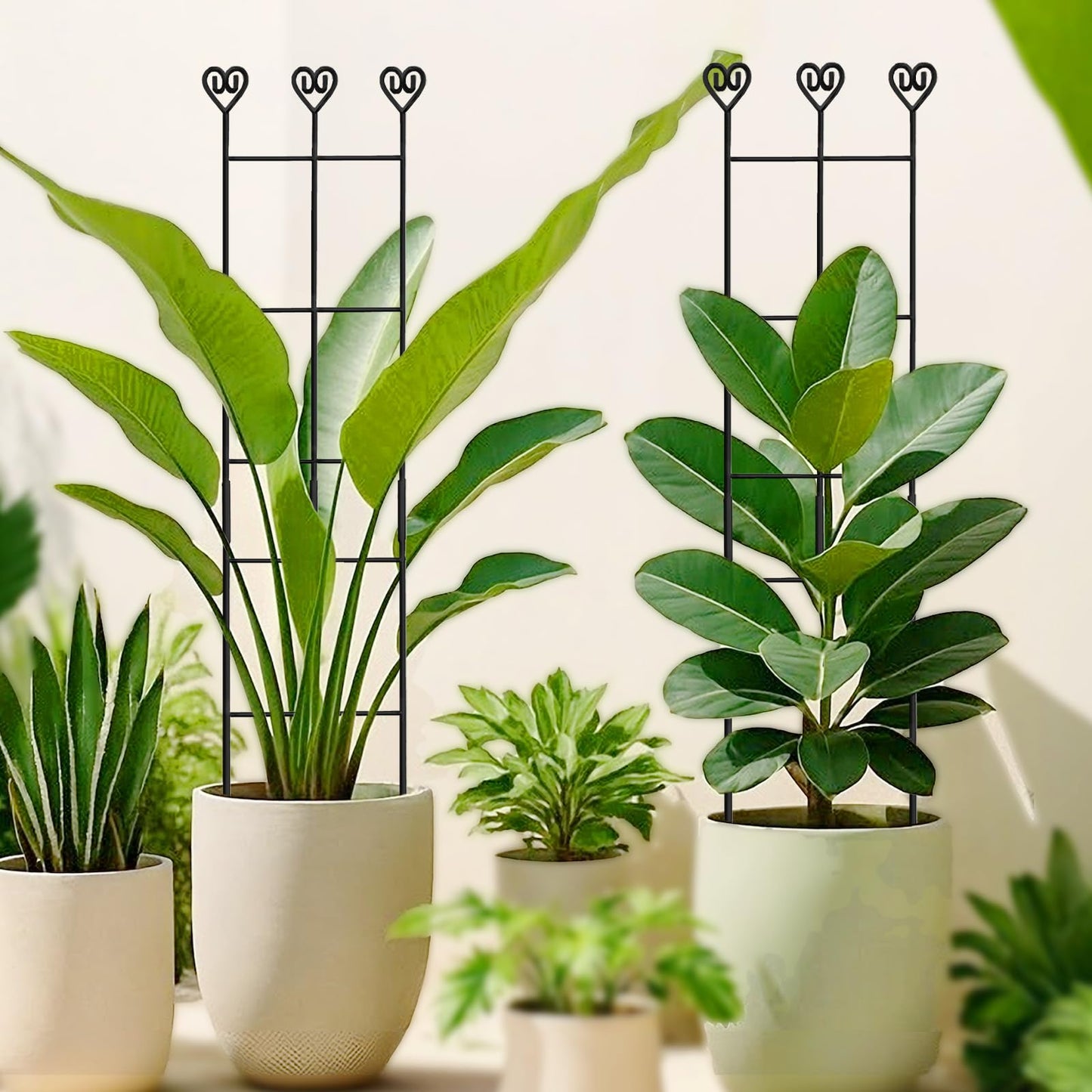 Xeeol 32in Large Garden Trellis for Potted Plants, Expandable Metal Indoor Plant Trellis for Climbing Plants, Tall Plant Supports for Ivy Pothos Hoya Monstera,2P