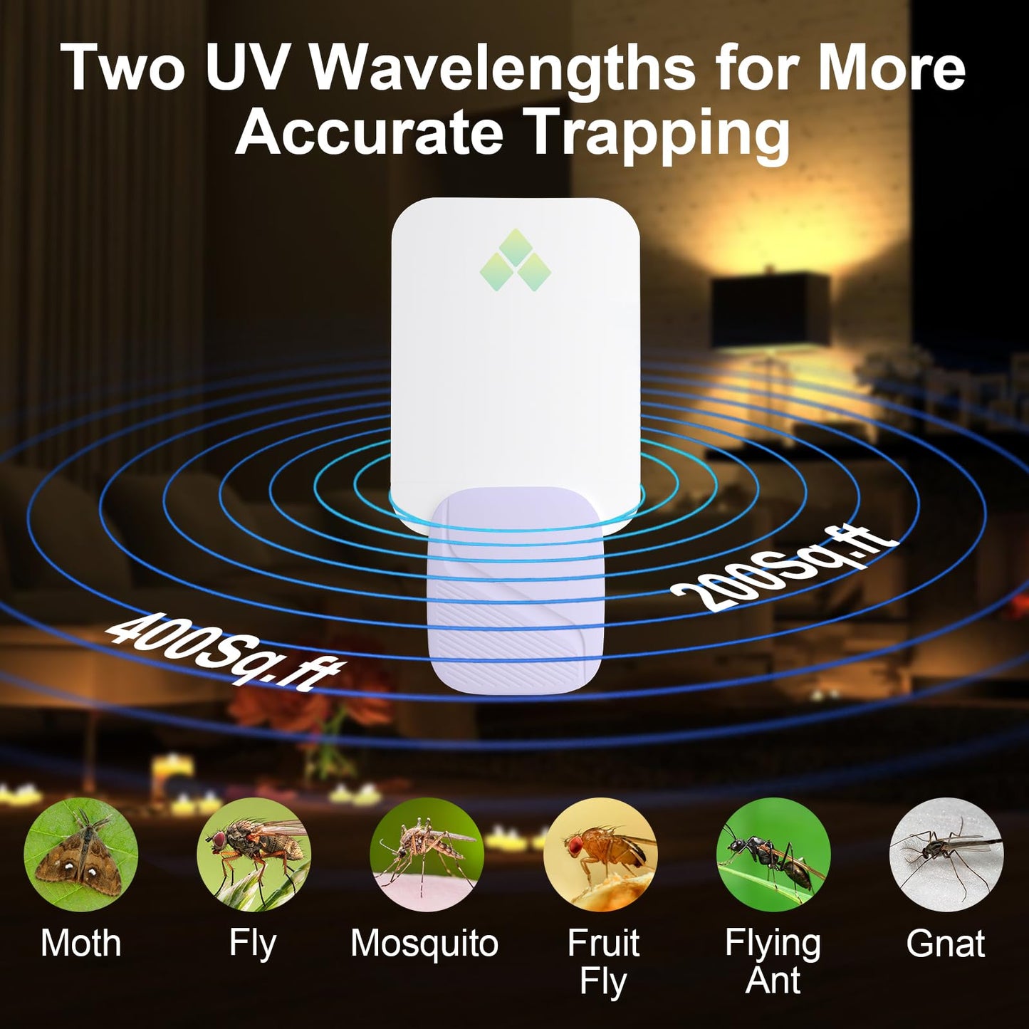 Fly Trap Indoor, Fruit Fly Traps for Indoors, 2 Devices 12 Glue Cards, Two Modes Protect 400 Sq Ft for Home, Flying Insect Trap Plug in for Fruit Flies, Gnats, Flies, Moths, and Other Flying Insects