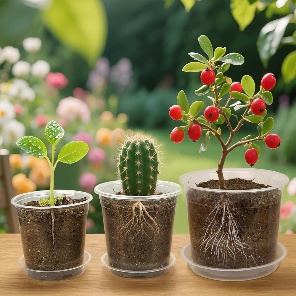 30 Pcs 3/4/5/6/7 Inch Clear Nursery Pots Plastic Plant Pots Clear Plant Pots with Drainage Nursery Pot for Seed Starting Succulents Seedlings Cuttings (30, Transparent, 3/4/5/6/7 Inch)