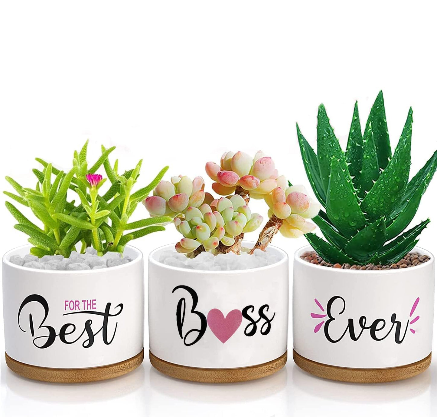 Boss Gifts - Best Boss Ever Gifts for Men Women - Office Valentines Day Birthday Gift - The Office Farewell Gift for Boss