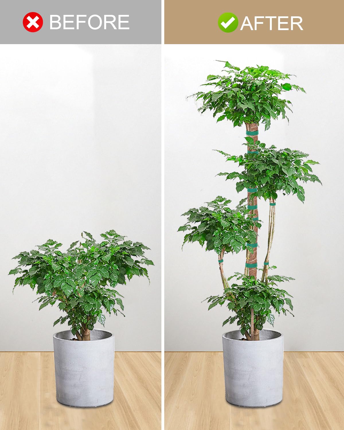 2Pcs 66in&48in Moss Pole,Bendable Plant Support for Climbing Plants,Monstera Plant Support Stakes Indoor,Adjustable Plant Stand,Houseplants to Grow Upwards
