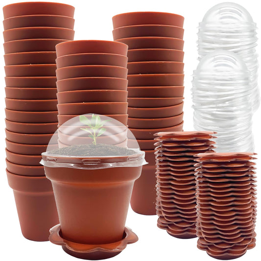PURPLE STAR 1N 50 Packs Cupcake Plant Nursery Pots with Humidity Dome- Planting Containers Cups- Small Flower Pots with Trays & Lids for Indoor Outdoor Seedling Succulent Vegetable (Wine Red)