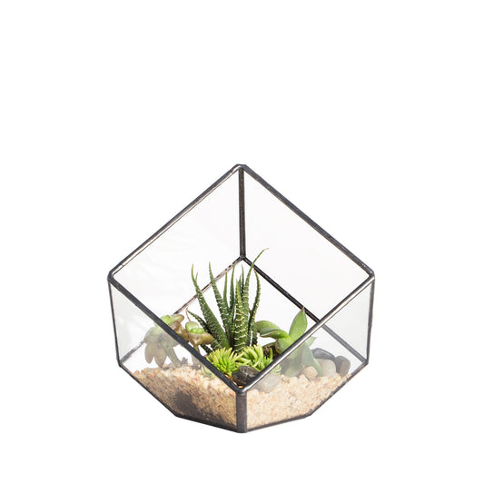 NCYP Small Geometric Decorative Terrarium - Side Length 10cm - Cube Inclined Glass Planter - Tabletop Black Flower Pot for Air Plant, Succulent - Clear Containers, Centerpiece (No Plants)