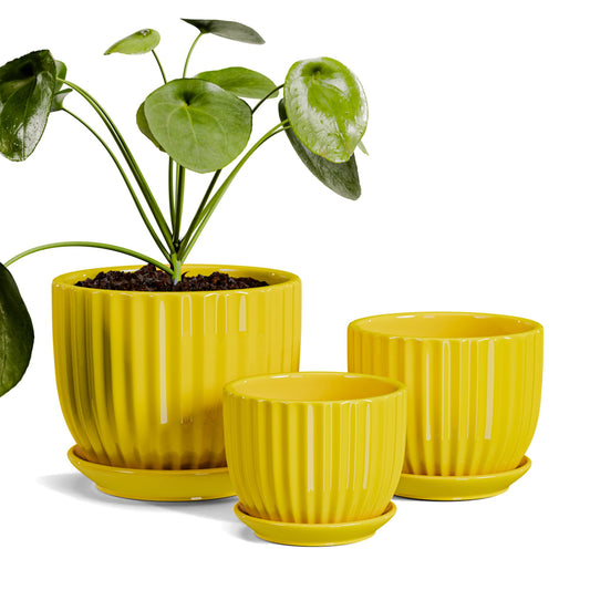 Ceramic Flower Pots Set of 3, 4+5+6 inch Plant Pots for Indoor Plants Ceramic Plant Pots with Tray,Medium Indoor Planters for Aloe Cactus Decorative Pots with Drainage Hole