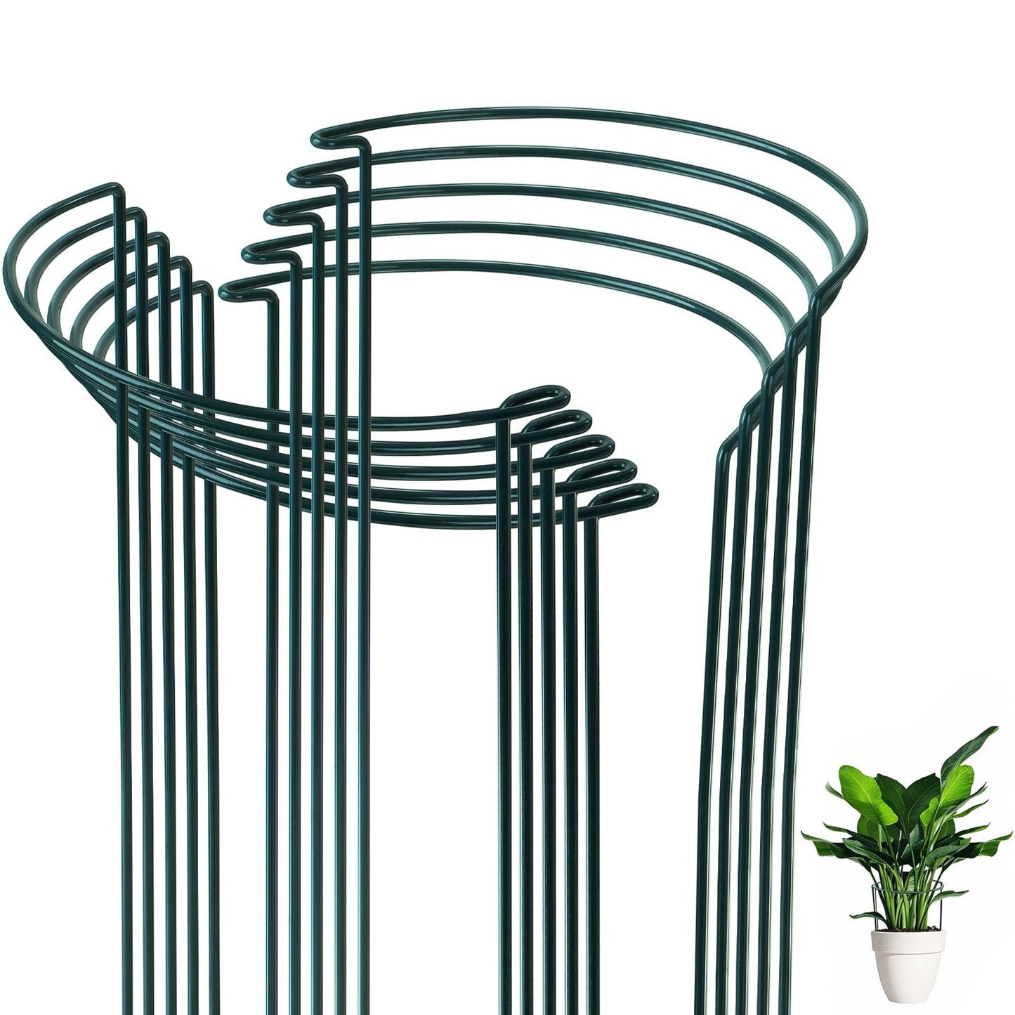 10 PCs of Garden Plant Support Stakes, SproutMaven 10" Wide x 16" High Half Round Metal Garden Border Support, Plant Support Ring Cage for Outdoor Indoor Plants