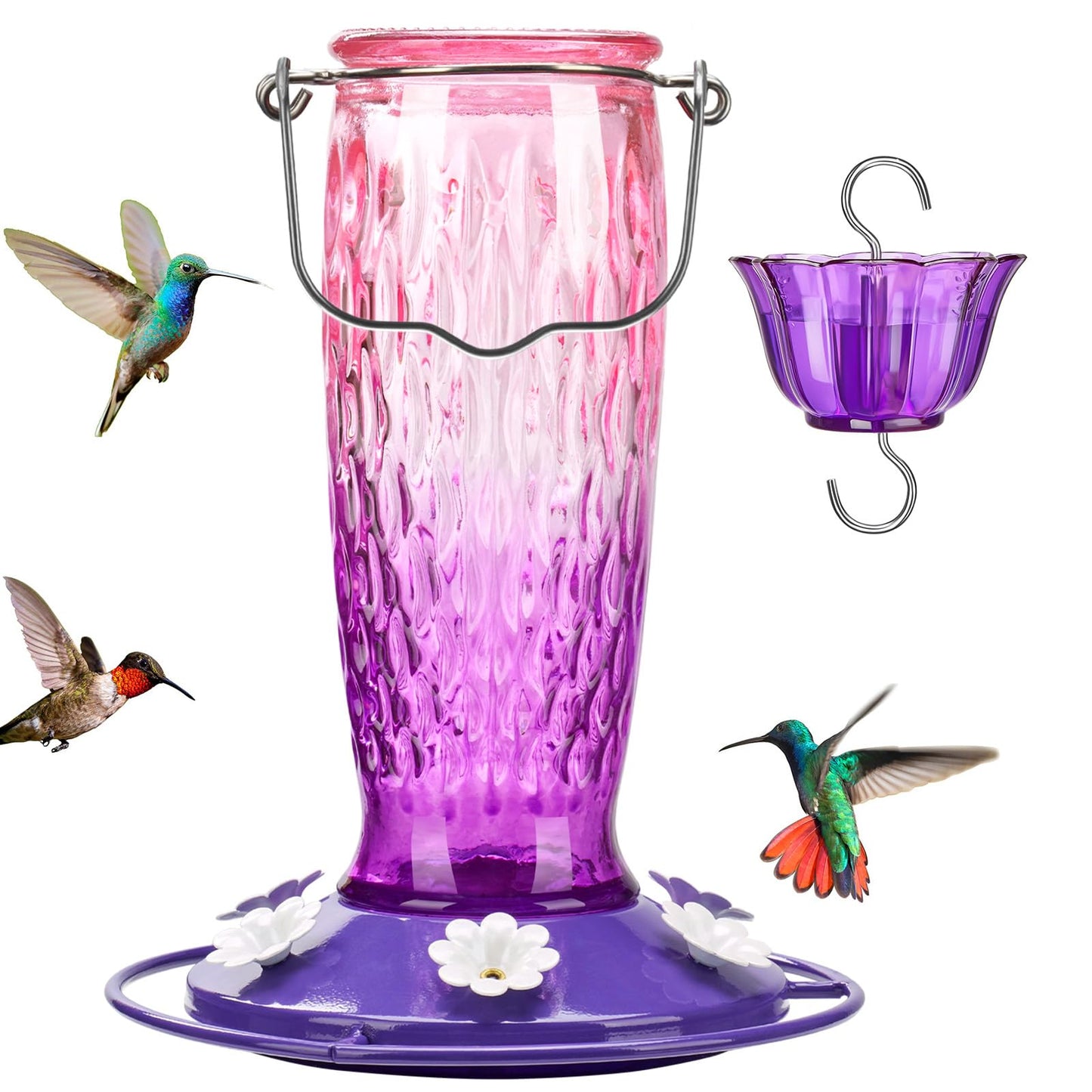 Kingsyard Hummingbird Feeders for Outdoors Hanging, 24 Ounce, Glass Hummingbird Feeder with Ant Moat & 6 Feeding Ports, Leak-Proof, Pink & Purple