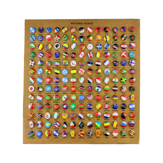 Flylin 291 Pcs National Flag Decorative Push Pins, Steel Push Pins for School Home Office, Modern Style, Flag Color